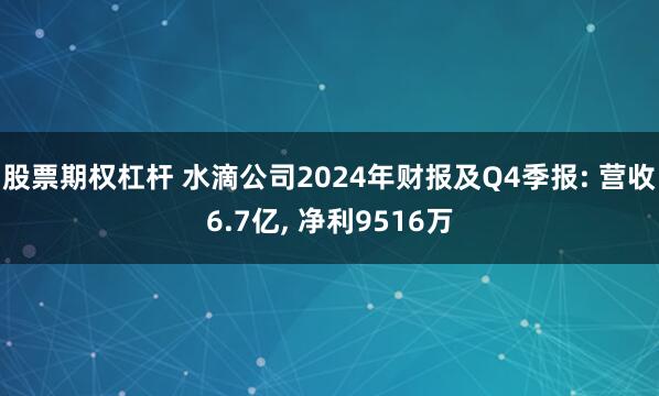 股票期权杠杆 水滴公司2024年财报及Q4季报: 营收6.7亿, 净利9516万