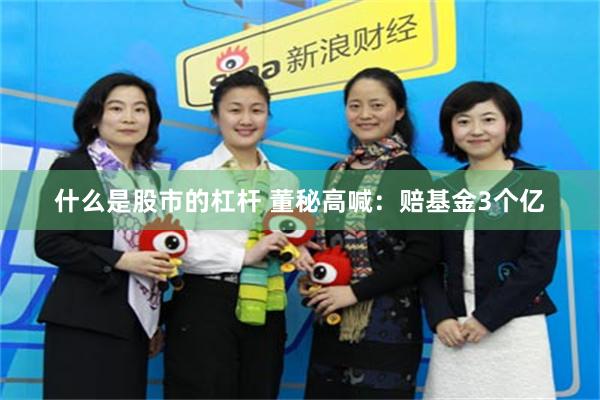 什么是股市的杠杆 董秘高喊：赔基金3个亿
