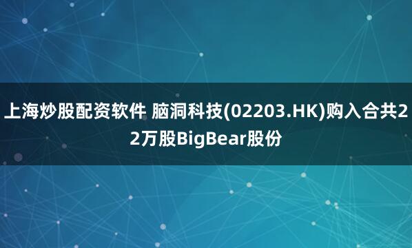 上海炒股配资软件 脑洞科技(02203.HK)购入合共22万股BigBear股份