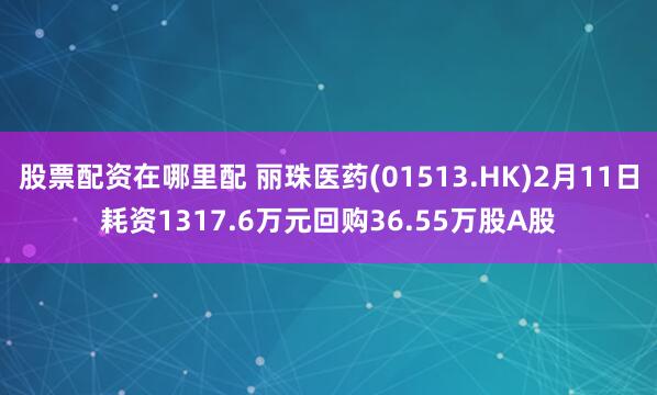 股票配资在哪里配 丽珠医药(01513.HK)2月11日耗资1317.6万元回购36.55万股A股