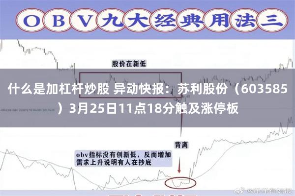 什么是加杠杆炒股 异动快报：苏利股份（603585）3月25日11点18分触及涨停板