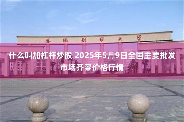 什么叫加杠杆炒股 2025年5月9日全国主要批发市场芥菜价格行情
