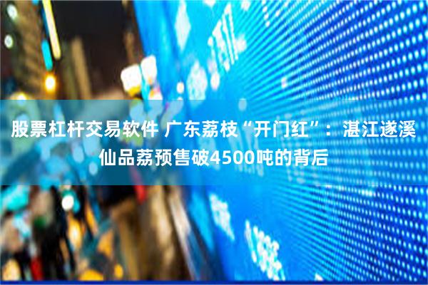 股票杠杆交易软件 广东荔枝“开门红”：湛江遂溪仙品荔预售破4500吨的背后