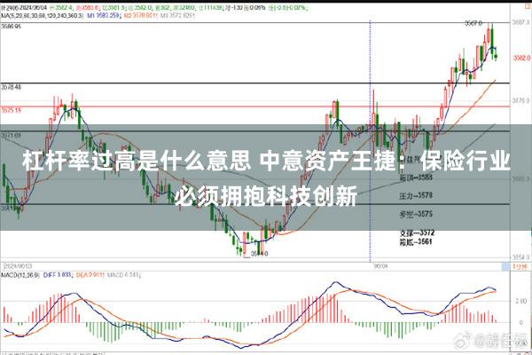 杠杆率过高是什么意思 中意资产王捷：保险行业必须拥抱科技创新