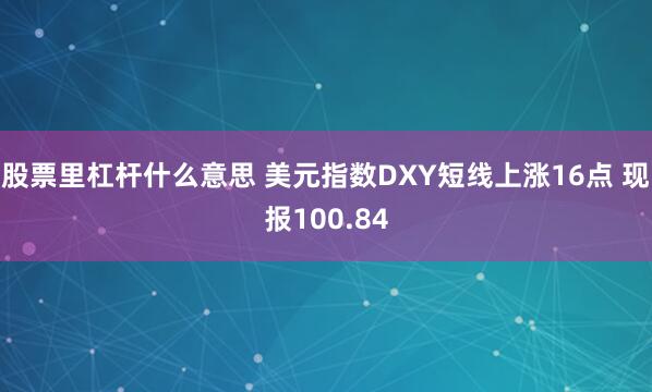 股票里杠杆什么意思 美元指数DXY短线上涨16点 现报100.84