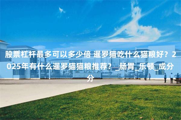 股票杠杆最多可以多少倍 暹罗猫吃什么猫粮好？2025年有什么暹罗猫猫粮推荐？_肠胃_乐顿_成分