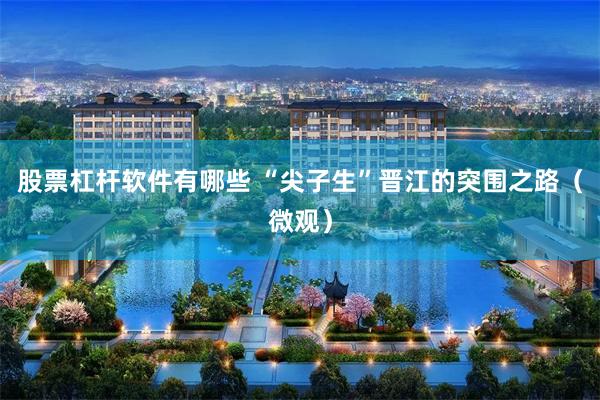 股票杠杆软件有哪些 “尖子生”晋江的突围之路（微观）