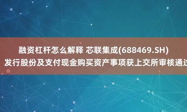 融资杠杆怎么解释 芯联集成(688469.SH)：发行股份及支付现金购买资产事项获上交所审核通过
