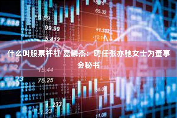 什么叫股票杆杠 嘉麟杰：聘任张亦驰女士为董事会秘书