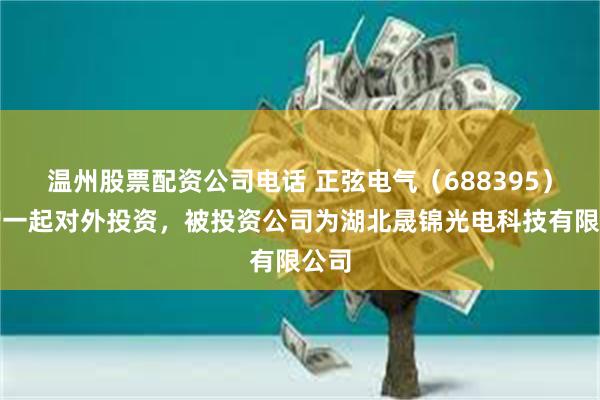 温州股票配资公司电话 正弦电气（688395）新增一起对外投资，被投资公司为湖北晟锦光电科技有限公司