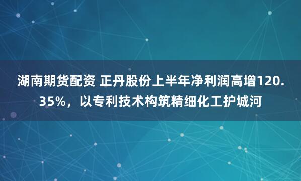 湖南期货配资 正丹股份上半年净利润高增120.35%，以专利技术构筑精细化工护城河