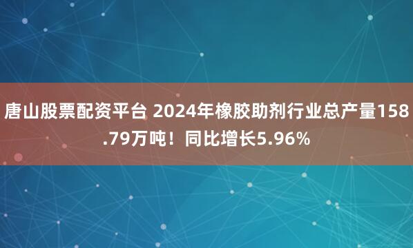 唐山股票配资平台 2024年橡胶助剂行业总产量158.79万吨！同比增长5.96%