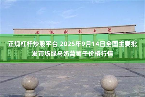 正规杠杆炒股平台 2025年9月14日全国主要批发市场绿马奶葡萄干价格行情