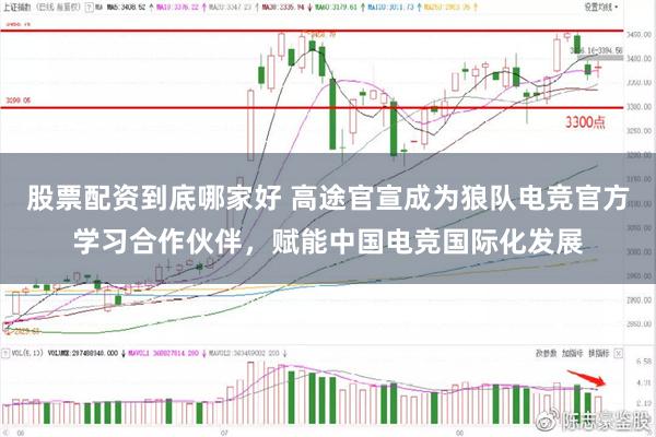股票配资到底哪家好 高途官宣成为狼队电竞官方学习合作伙伴，赋能中国电竞国际化发展