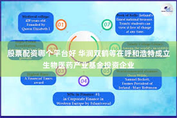 股票配资哪个平台好 华润双鹤等在呼和浩特成立生物医药产业基金投资企业