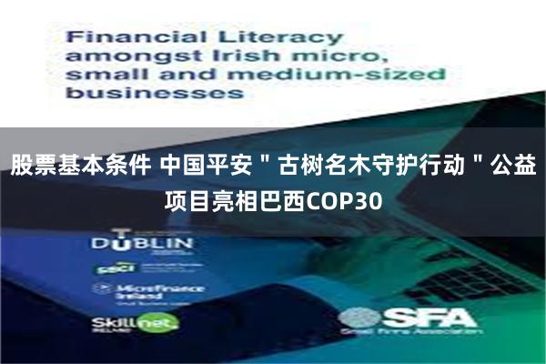 股票基本条件 中国平安＂古树名木守护行动＂公益项目亮相巴西COP30