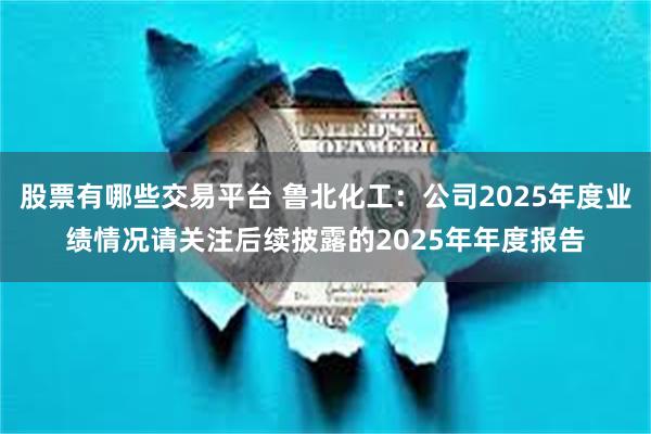 股票有哪些交易平台 鲁北化工：公司2025年度业绩情况请关注后续披露的2025年年度报告