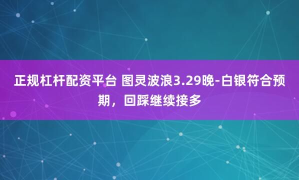 正规杠杆配资平台 图灵波浪3.29晚-白银符合预期，回踩继续接多